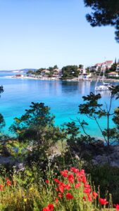 Split Speedboat tour croatia island hopping